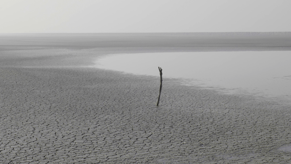 Sonic Cinema; Cinematic Sound: Consciousness and&nbsp;Truth