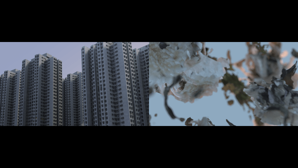 Softer Than Concrete